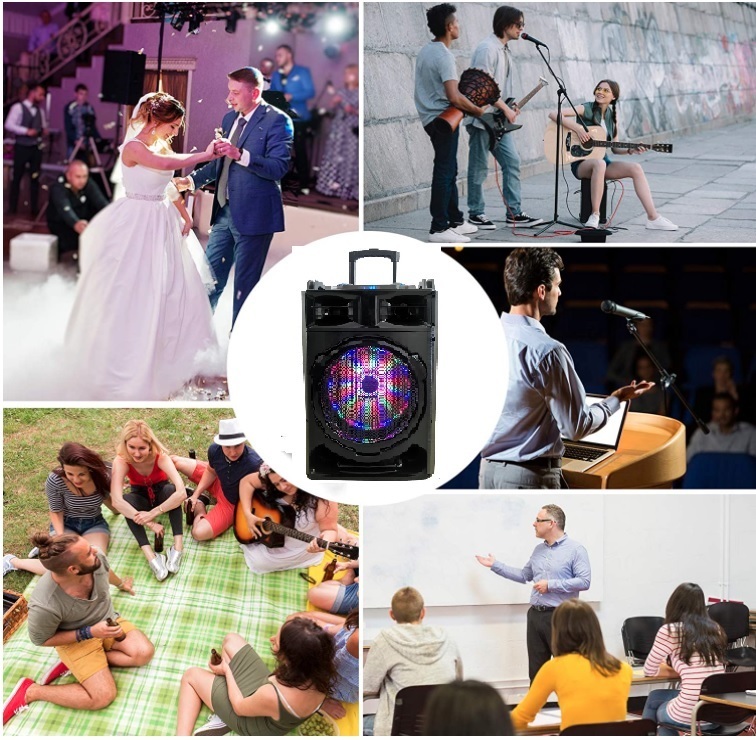 SONKEN KARAOKE PORTABLE PA SYSTEM 800 WATTS Incl WIRELESS MICROPHONES