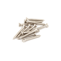 Vintage-Style Bass/Telecaster® Bridge/Strap Button Mounting Screws (12) (Phillips head) (Nickel)