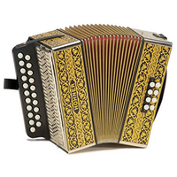 HOHNER 2915 G/C VIENNA 2-ROW DIATONIC BUTTON ACCORDION, 21 TREBLE/8 BASS BUTTONS, MM REEDS, BLACK & GOLD, WITH STRAPS
