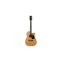 Ibanez PF17ECE LG Acoustic Guitar