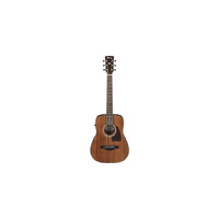 Ibanez AW54MINEGB OPN Artwood Acoustic Guitar