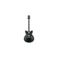 Ibanez JSM20 BKL John Scofield Signature Hollowbody Guitar in Hard Case