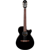 Ibanez AEG50N BKH Acoustic Guitar