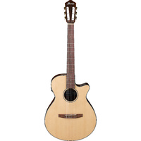 Ibanez AEG50 NNT Acoustic Guitar