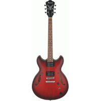   AS53 SRF Electric Guitar