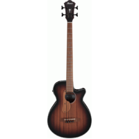   AEGB24E MHS Acoustic Guitar