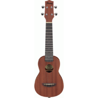   UKS100 OPN Acoustic Guitar