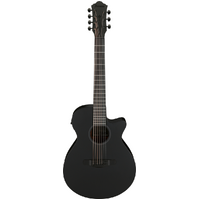 Ibanez AEG721 Black Out Acoustic Guitar