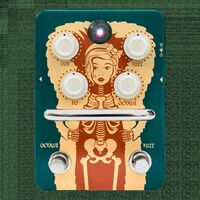 Orange Fur Coat Fuzz Pedal