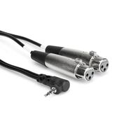 Camcorder Microphone Cable, Dual XLR3F to Right-angle 3.5 mm TRS, 1 ft