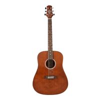 Ashton D20 MS Acoustic Guitar