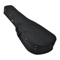 Fretz Shaped Polyfoam Classical Guitar Case