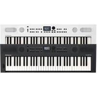 Roland GO-KEYS 5 Portable Keyboard