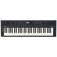 Roland GO:KEYS 5 61-Key Music Creation Keyboard (Graphite)