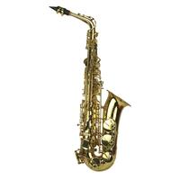 Steinhoff KSO-AS2-GLD Student E Flat Alto Saxophone with Case