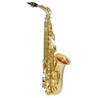 Steinhoff KSO-AS3-GLD S-Style Student Eb Alto Saxophone with Case