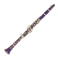 Steinhoff Student B Flat Clarinet (Purple)