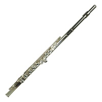 Steinhoff Student Flute with Additional Curved Mouthpiece