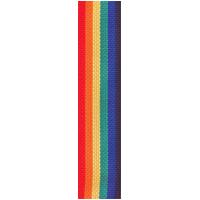 D'Addario Polypropylene Guitar Strap, Rainbow