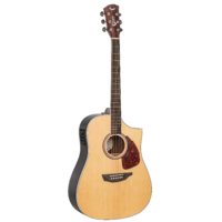 S550D SGW S550D Dreadnought electric / acoustic guitar with Sharp Florentine cutaway