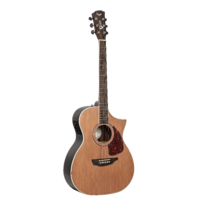 SGW S650OMNS - Orchestra electric/acoustic guitar.