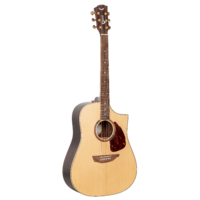 SGW S750D Dreadnought electric / acoustic guitar with Sharp Florentine cutaway