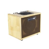 Strauss 60 Watt Acoustic Guitar Amplifier Combo with Effects (Natural Gloss)