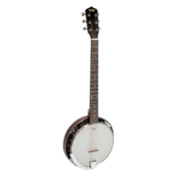 Bryden Sbj624 6 String Banjo