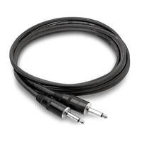 Pro Speaker Cable, REAN 1/4 in TS to Same, 10 ft
