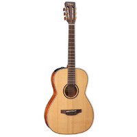 Takamine Custom Pro 400 Series New Yorker AC/EL Guitar