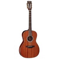 Takamine G11 Series New Yorker AC/EL Guitar w/ TP4T Preamp