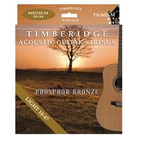 Timberidge TS-APB-L Premium Acoustic Guitar Strings - Light 10-47
