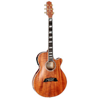 Takamine Thinline Series AC/EL Guitar with Cutaway in Natural Gloss Finish