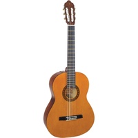 Valencia VC101 100 Series 1/4 Nylon String Classical Guitar - Natural