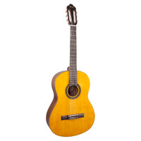 VALENCIA VC204H 200 SERIES HYBRID GUITAR