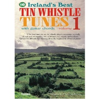 IRELANDS BEST TIN WHISTLE TUNE