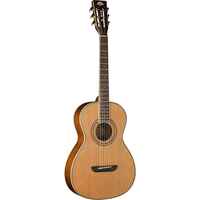 Washburn WP11SNS-D-U Parlour Acoustic Guitar